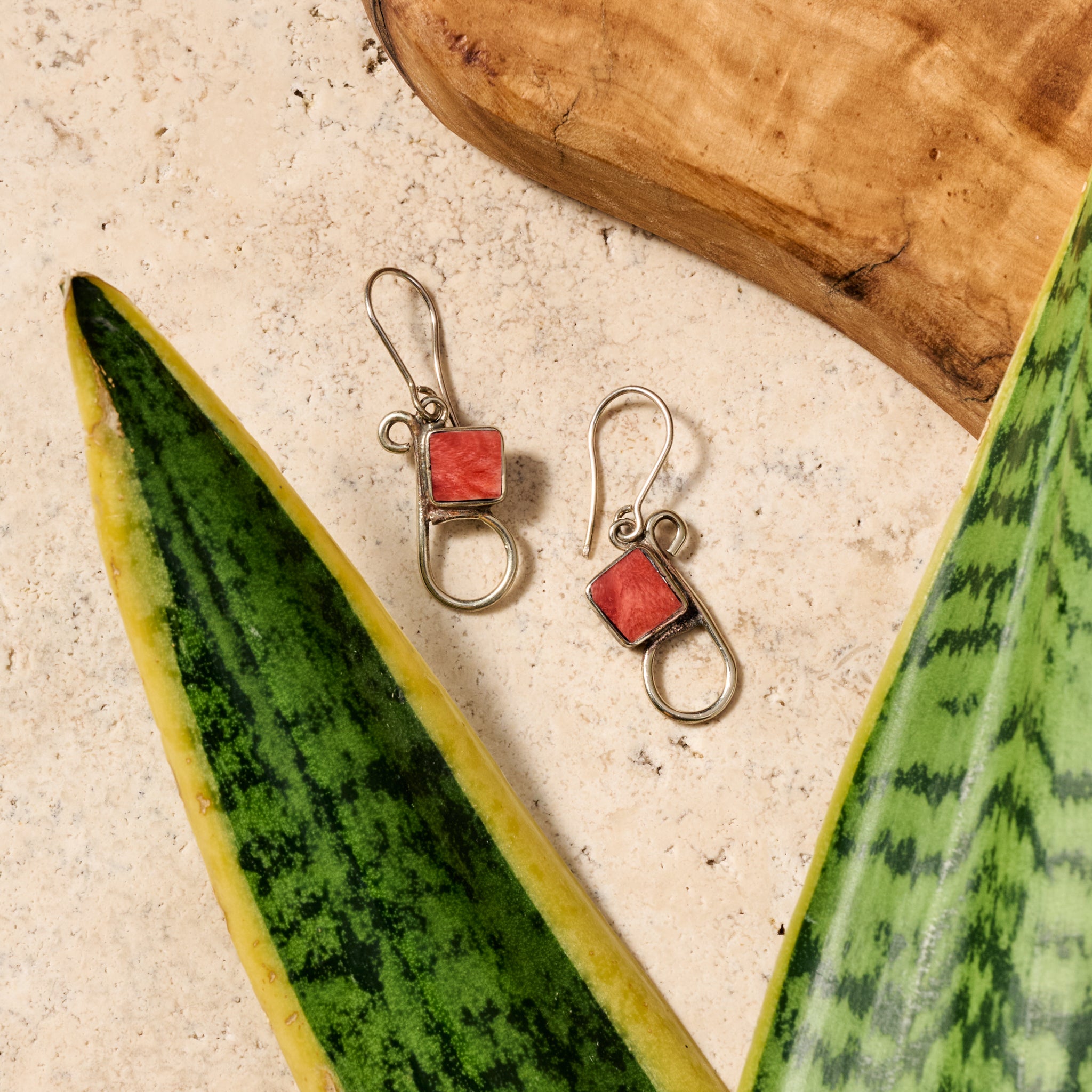 Chala Spondylus Shell Dangle Earrings - Ten Thousand Villages