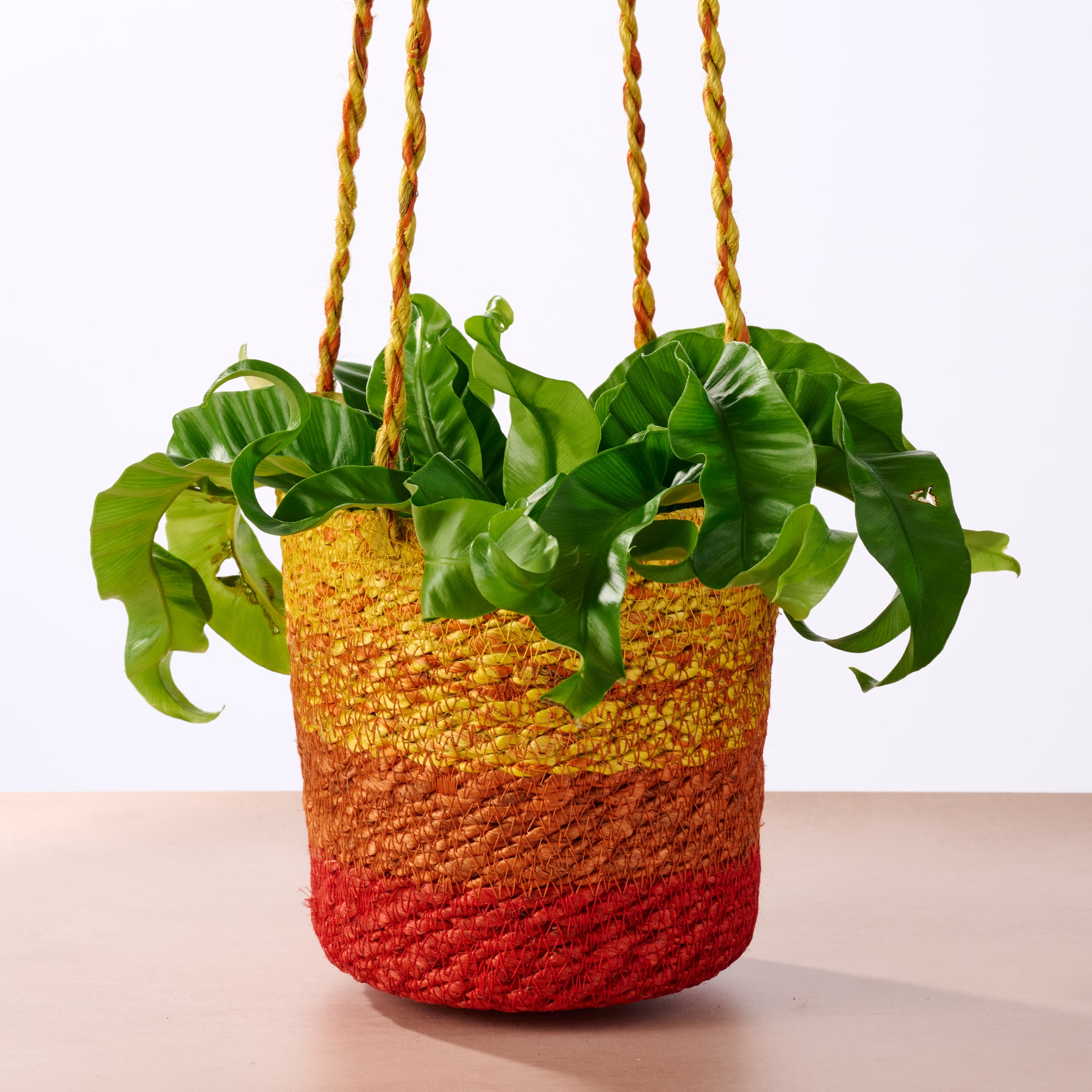Buna Jute Plant Hanger - Red - Ten Thousand Villages