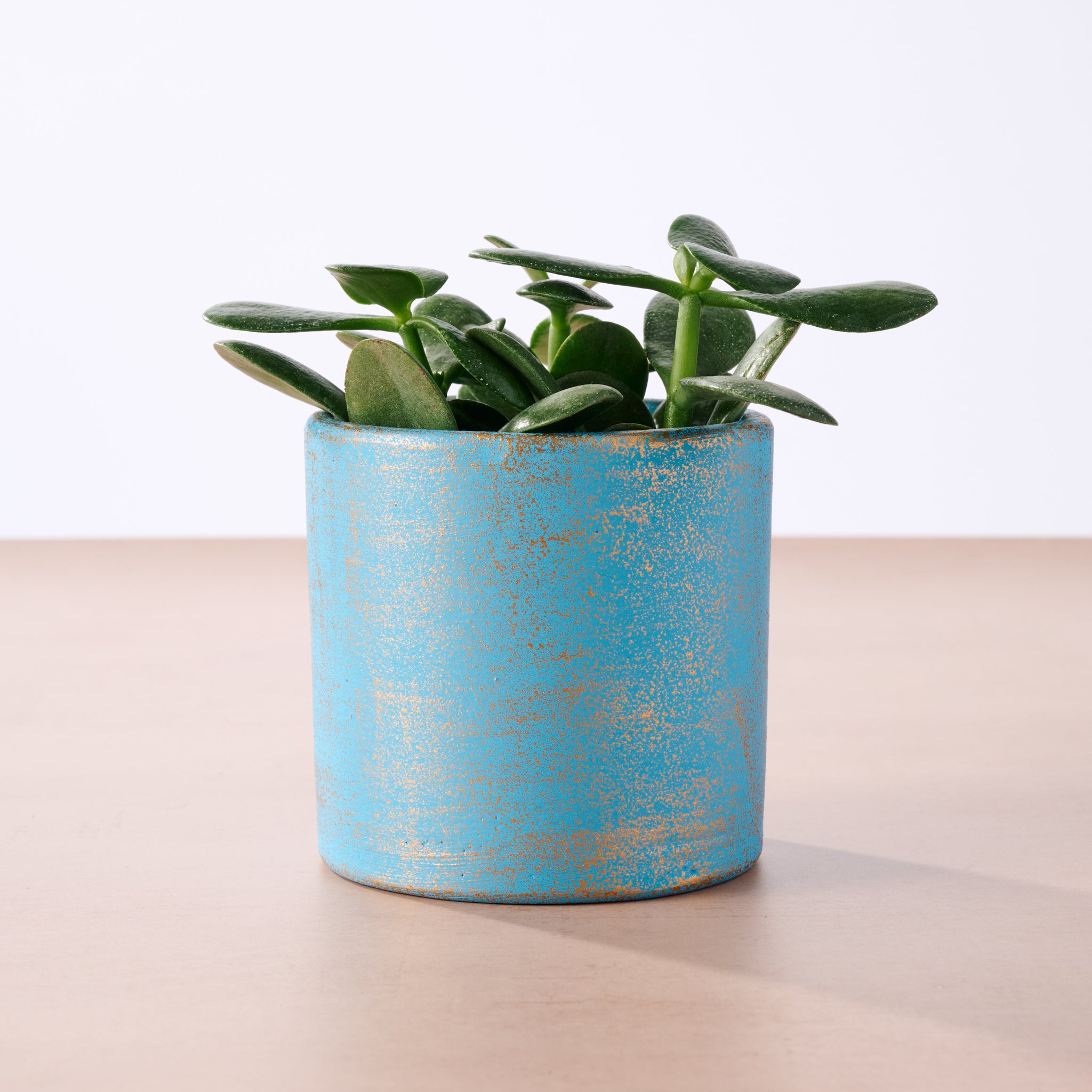 Chota Terracotta Mini Planter - Light Blue - Ten Thousand Villages