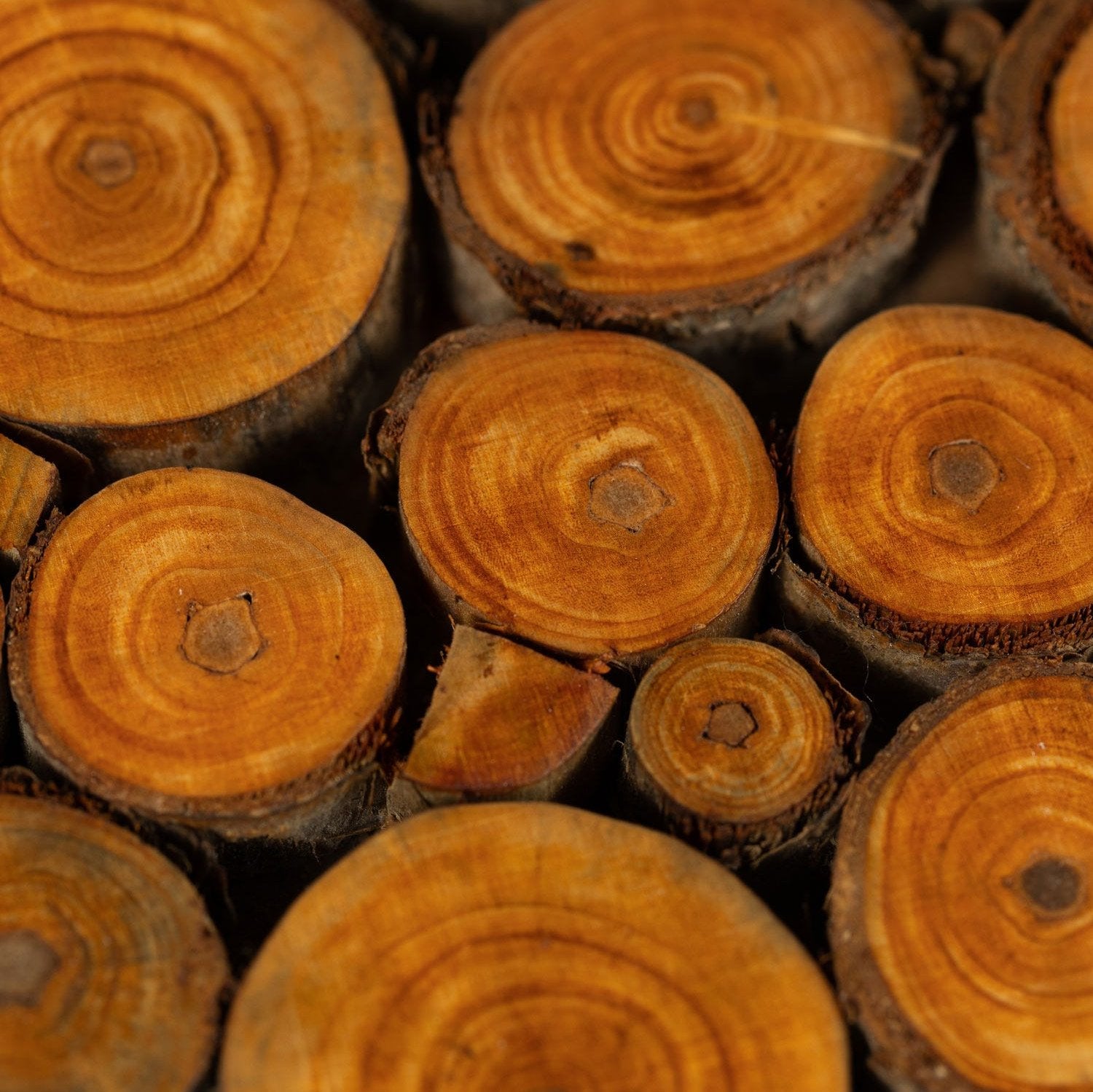 Wood Slice Trivet - Ten Thousand Villages