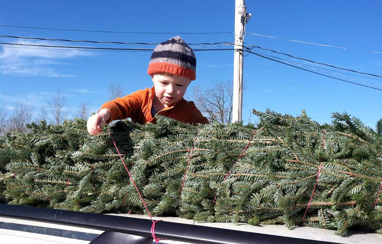 Our Christmas Tree