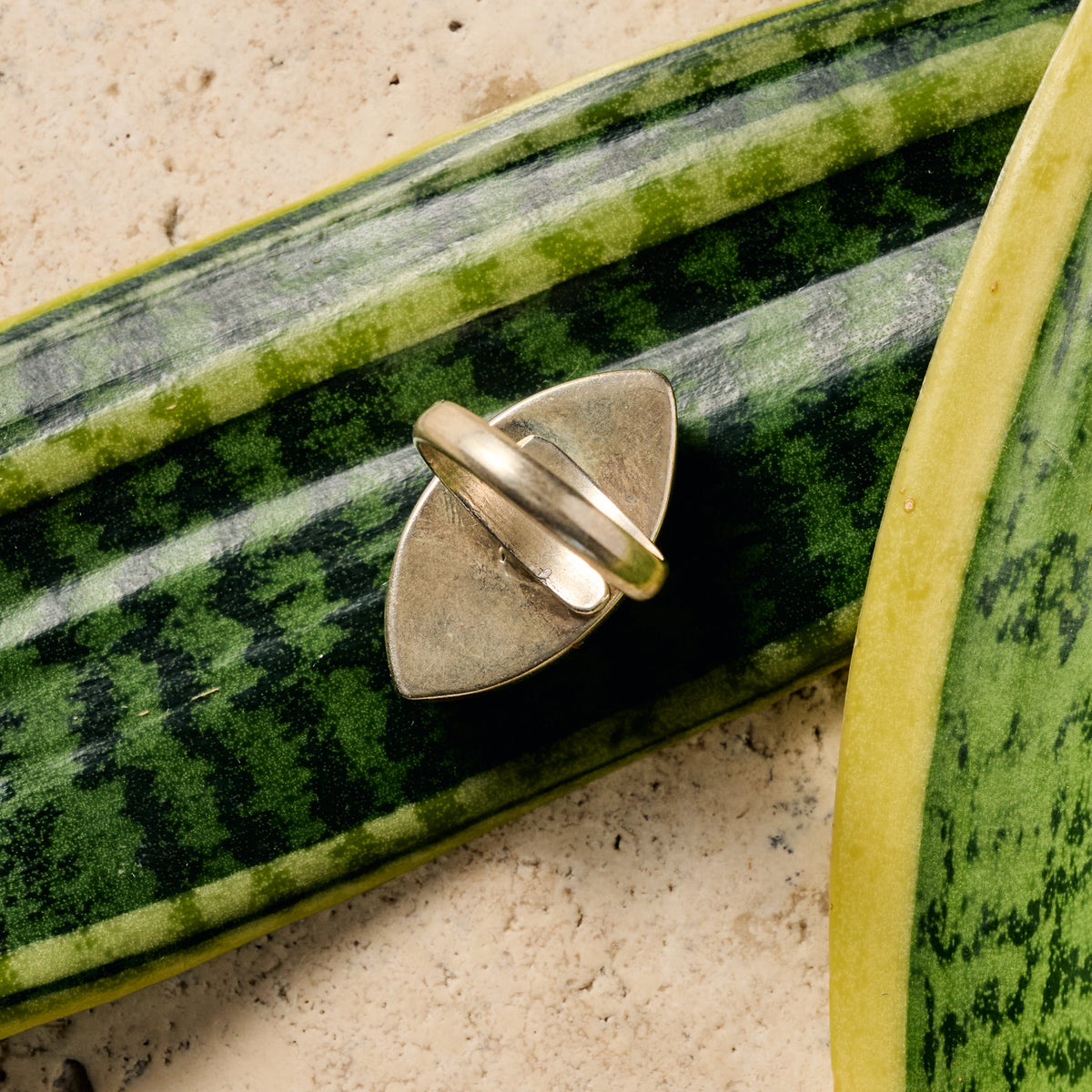Amkha Silver & Turquoise Ring - Ten Thousand Villages