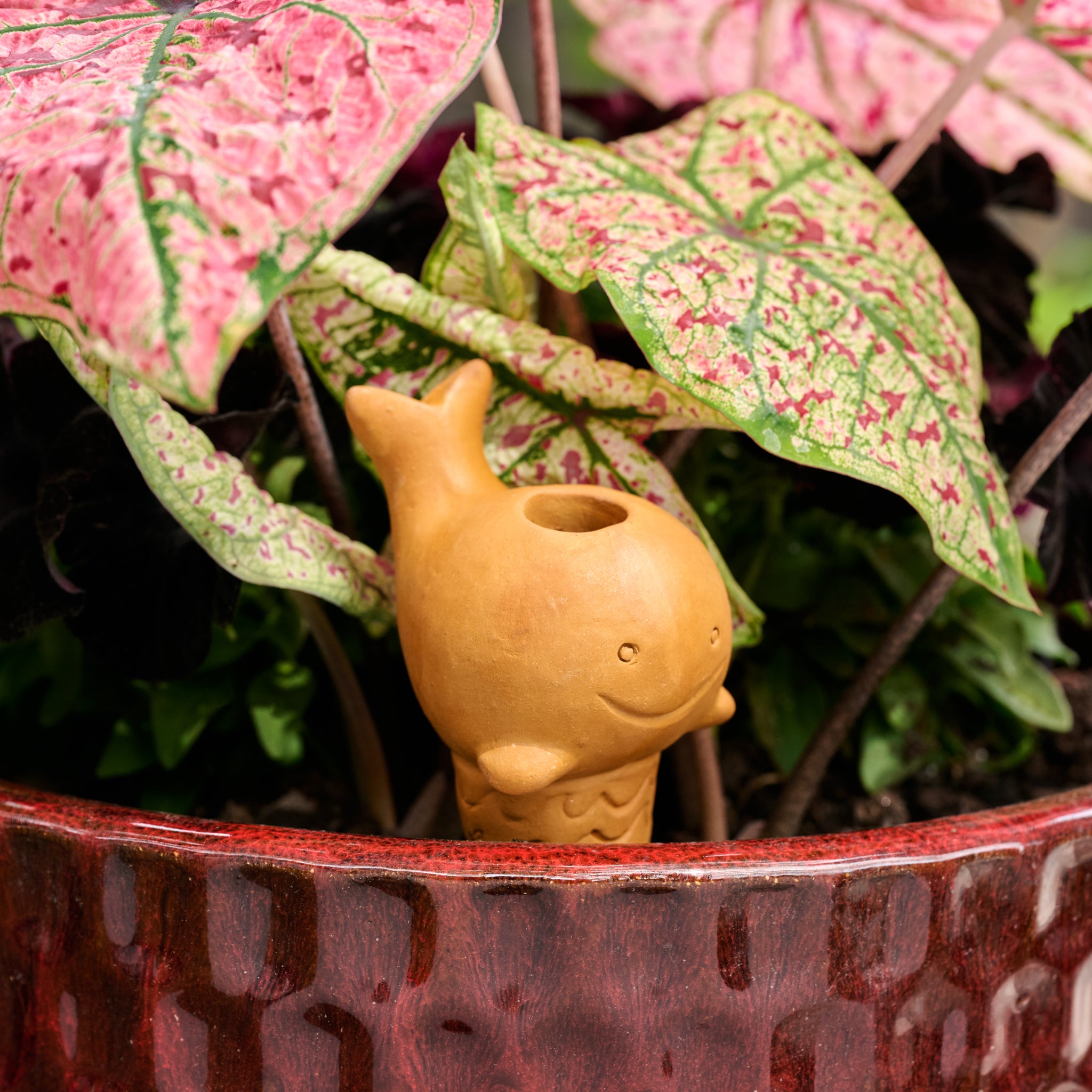 Self Watering Plant Pet - Whale - Ten Thousand Villages