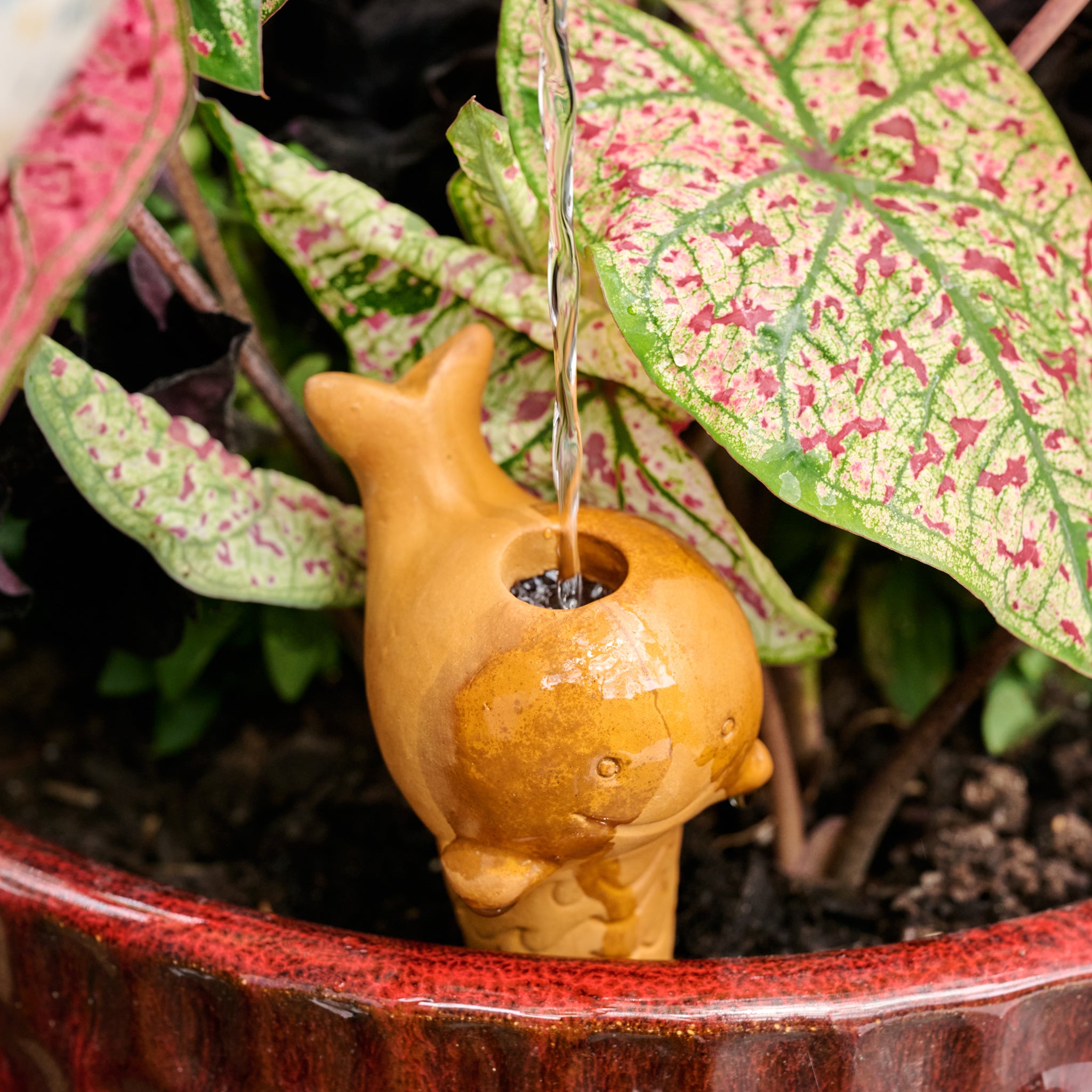 Self Watering Plant Pet - Whale - Ten Thousand Villages