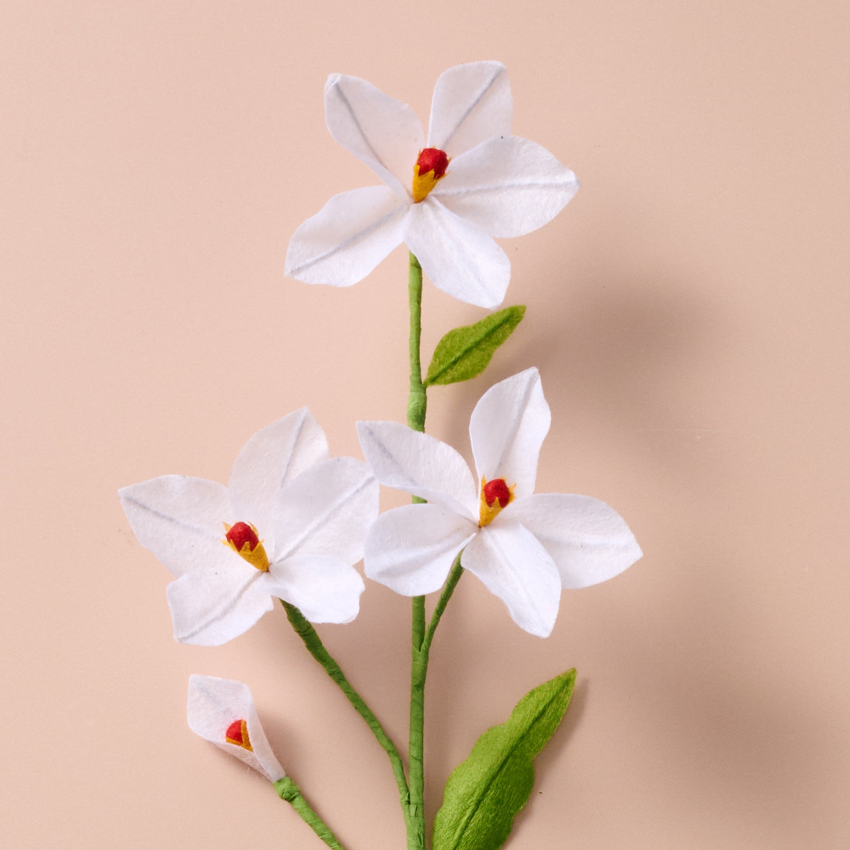 Silk Paper Paperwhite Flower - White - Ten Thousand Villages