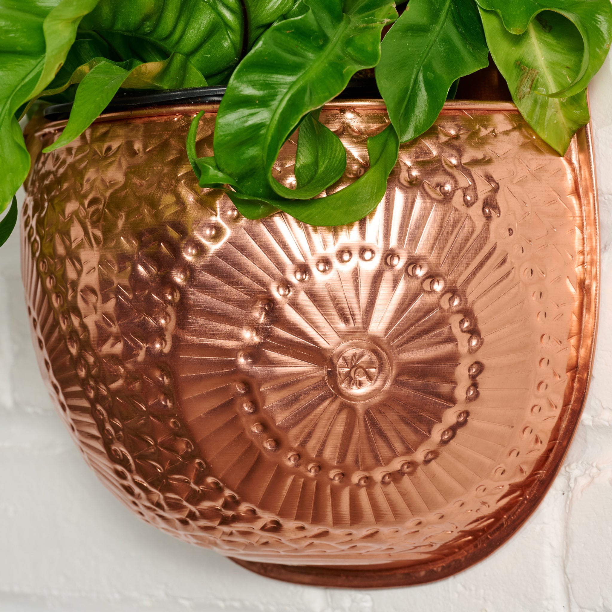 Dekhava Embossed Wall Planter - Ten Thousand Villages