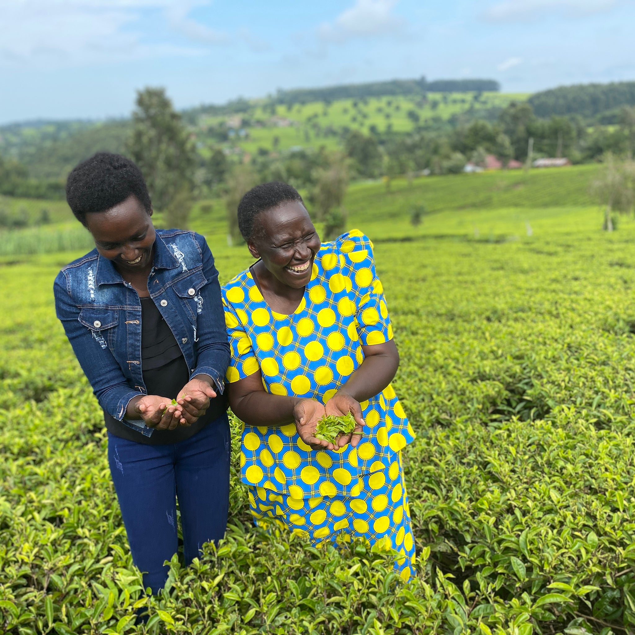 JusTea Black Tea Trio - Ten Thousand Villages